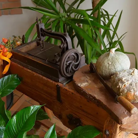 Farm stay Il Cascinale