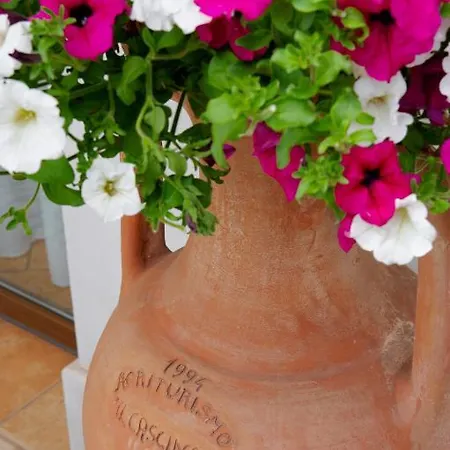 Il Cascinale Farm stay Treviso